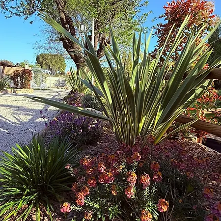 Bed & Breakfast Melisande Au Pays Des Orjouliers Saint-Jean-de-Fos